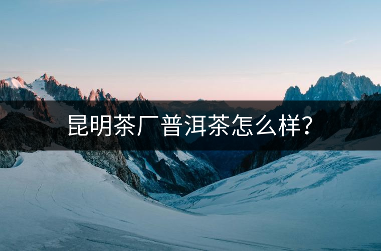 昆明茶廠普洱茶怎么樣？