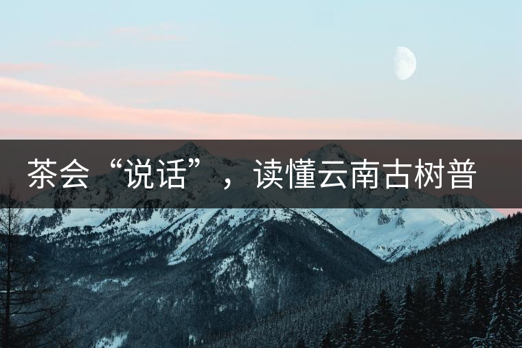 茶會“說話”，讀懂云南古樹普洱茶的秘訣