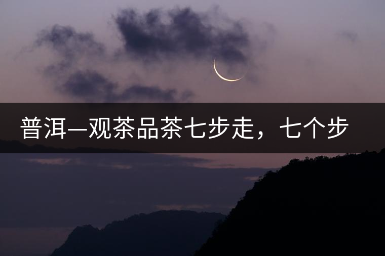 普洱—觀茶品茶七步走，七個步驟，喝懂普洱茶