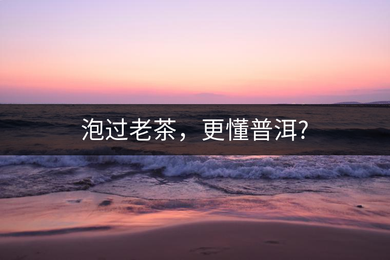 泡過老茶，更懂普洱?