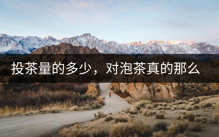 投茶量的多少，對泡茶真的那么重要嗎？
