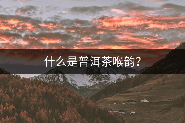 什么是普洱茶喉韻？