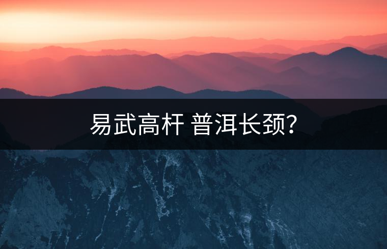 易武高桿 普洱長(zhǎng)頸？