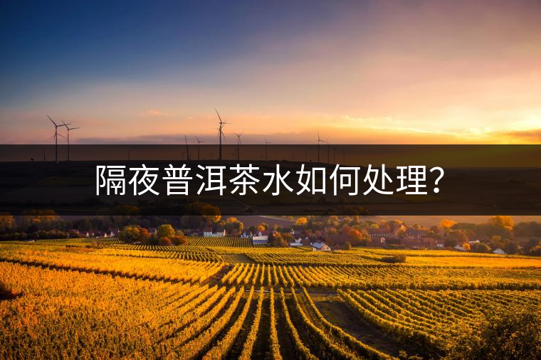 隔夜普洱茶水如何處理？