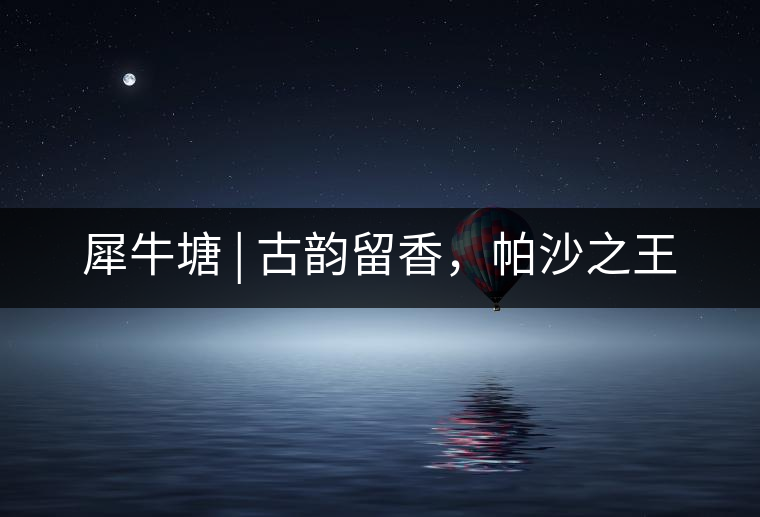 犀牛塘 | 古韻留香，帕沙之王