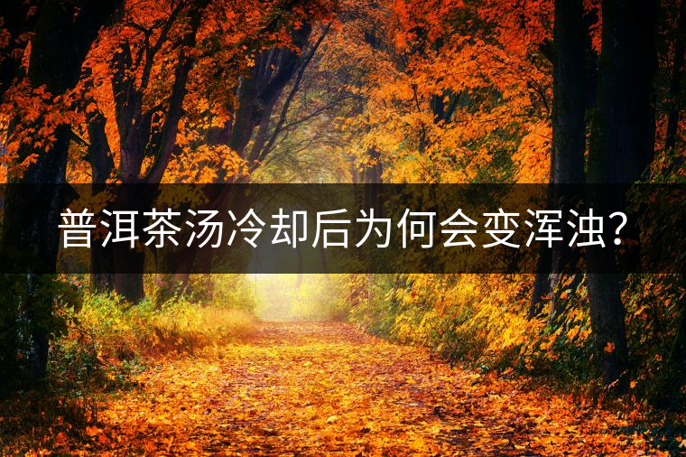 普洱茶湯冷卻后為何會變渾濁？