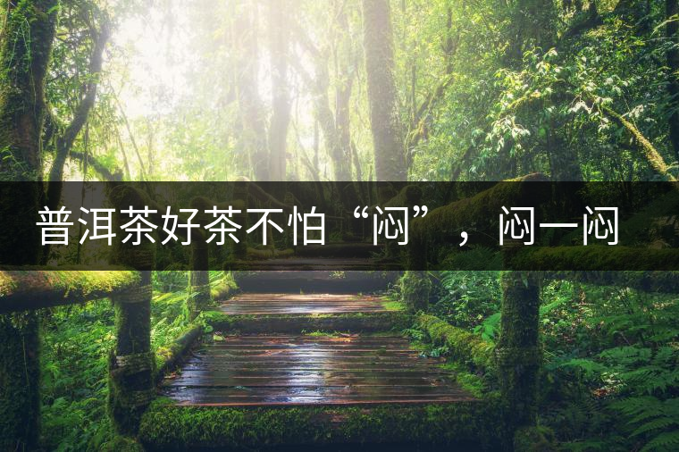 普洱茶好茶不怕“悶”，悶一悶看本味
