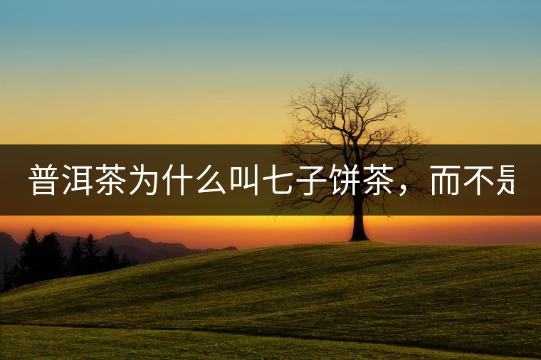 普洱茶為什么叫七子餅茶，而不是六子餅、八子餅......？