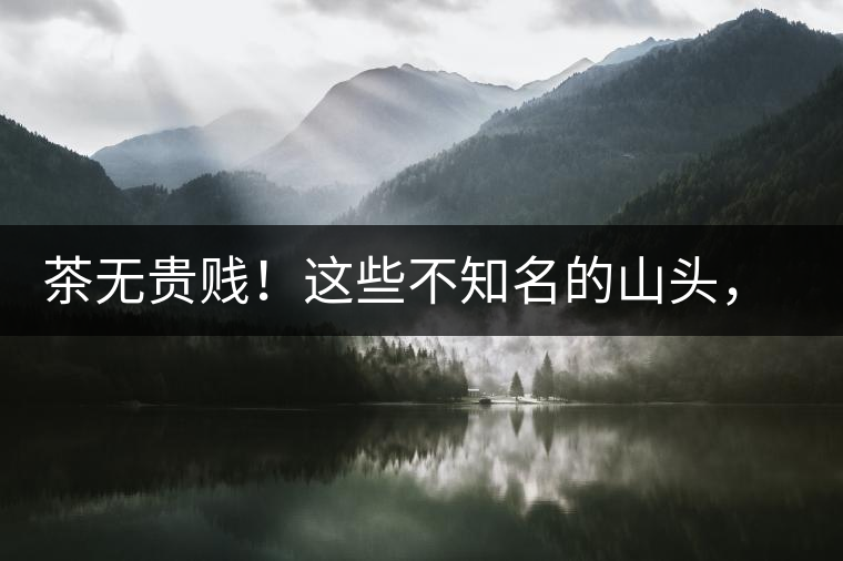 茶無貴賤！這些不知名的山頭，其實(shí)也產(chǎn)優(yōu)質(zhì)普洱茶！