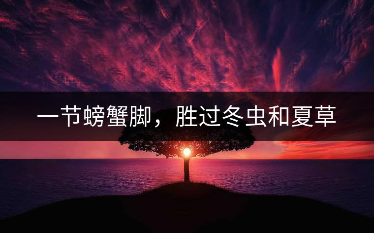 一節(jié)螃蟹腳，勝過(guò)冬蟲(chóng)和夏草