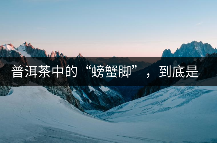 普洱茶中的“螃蟹腳”，到底是什么？如何辨別？