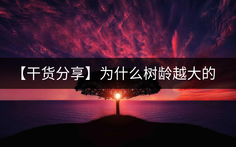 【干貨分享】為什么樹(shù)齡越大的普洱生茶，苦味越容易化掉？