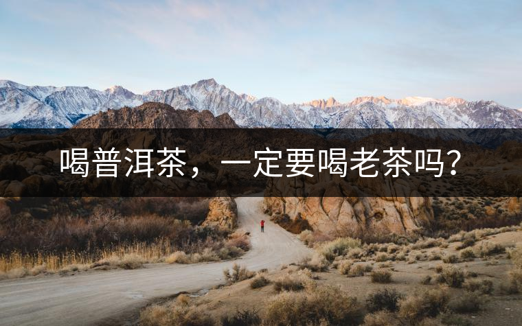 喝普洱茶，一定要喝老茶嗎？