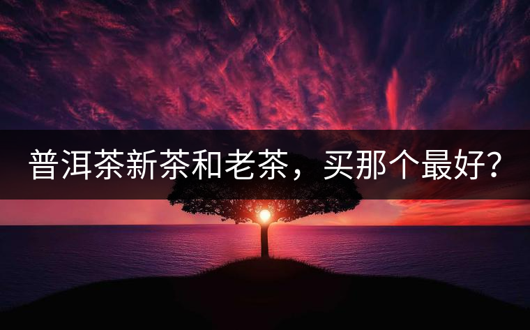 普洱茶新茶和老茶，買那個(gè)最好？