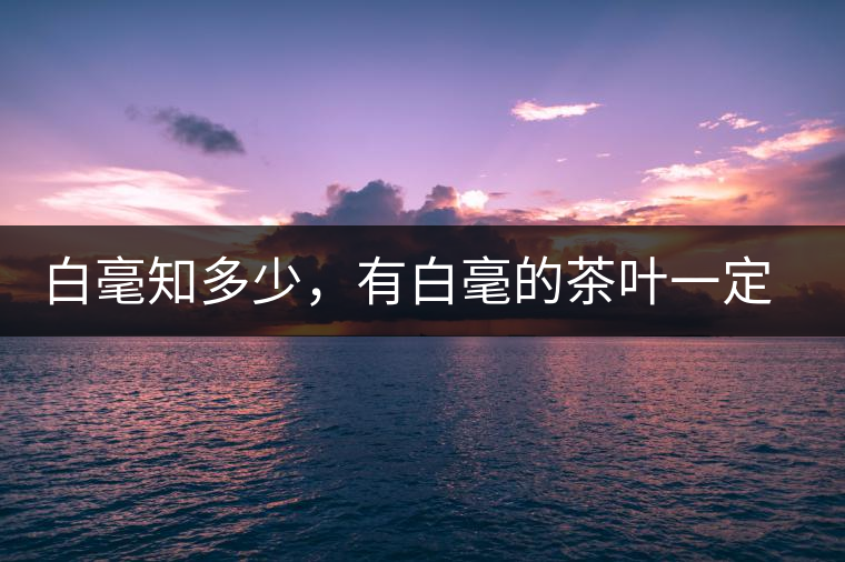 白毫知多少，有白毫的茶葉一定好嗎？