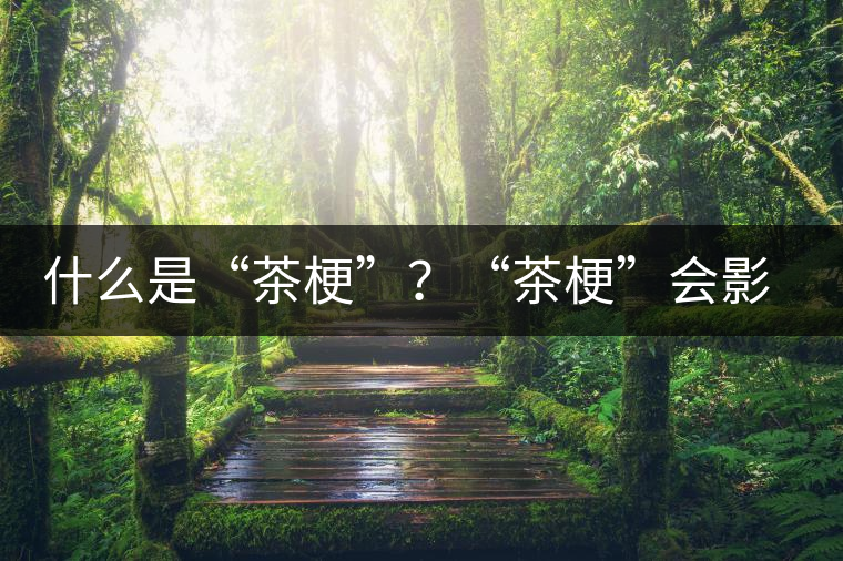 什么是“茶?！?？“茶?！睍绊懫斩杵焚|(zhì)？