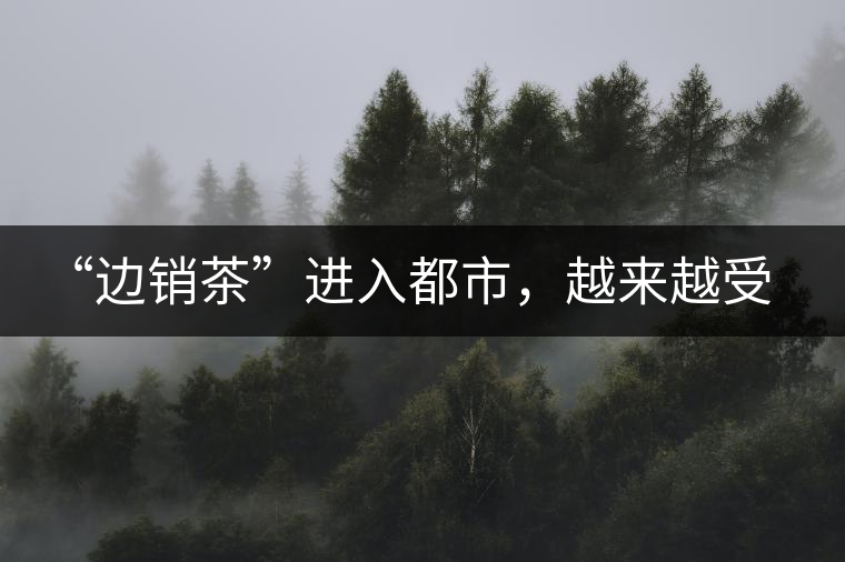 “邊銷茶”進(jìn)入都市，越來(lái)越受人們青睞