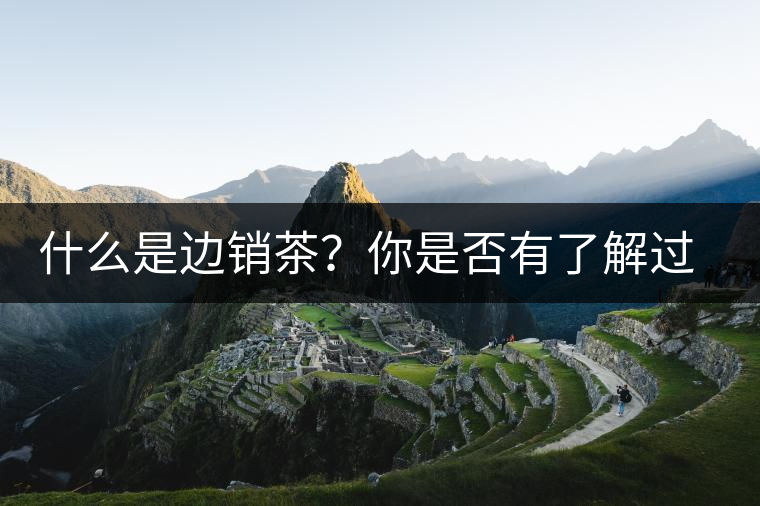 什么是邊銷茶？你是否有了解過邊銷茶呢？