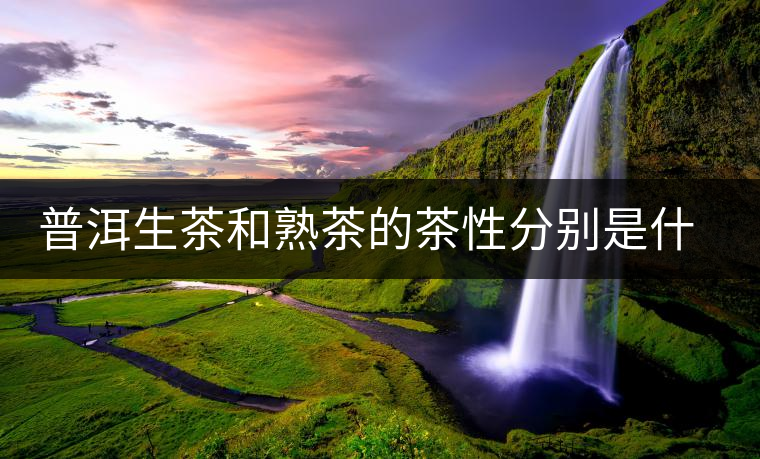 普洱生茶和熟茶的茶性分別是什么？涼性還是熱性？