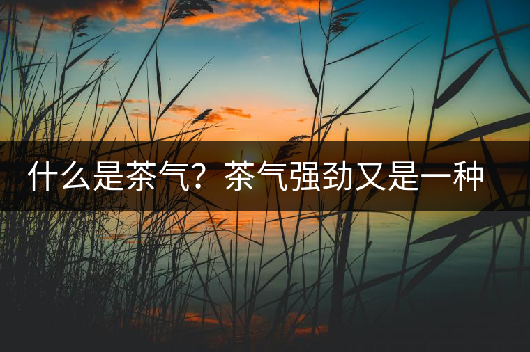 什么是茶氣？茶氣強(qiáng)勁又是一種怎樣的體驗？