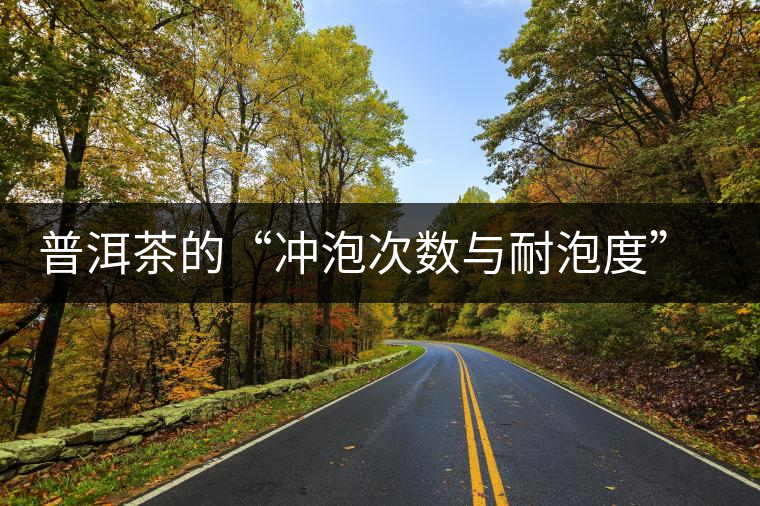 普洱茶的“沖泡次數(shù)與耐泡度”，你都了解嗎？
