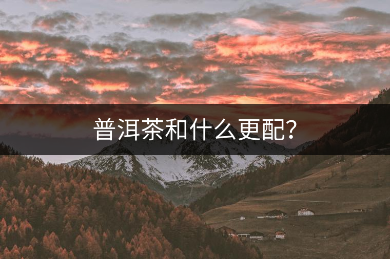 普洱茶和什么更配？