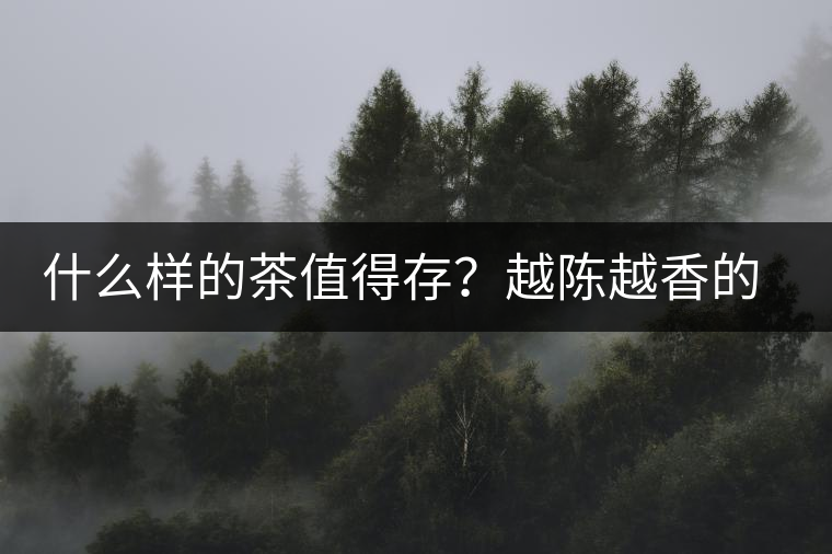 什么樣的茶值得存？越陳越香的本質(zhì)是什么？