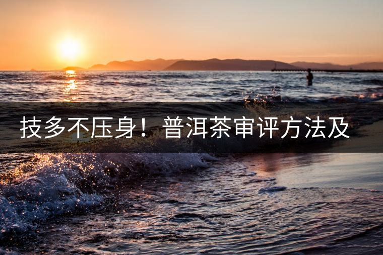 技多不壓身！普洱茶審評方法及專業(yè)術語大全（下）