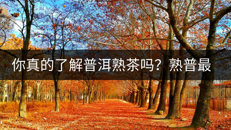 你真的了解普洱熟茶嗎？熟普最詳細(xì)的揭秘都在這里了。