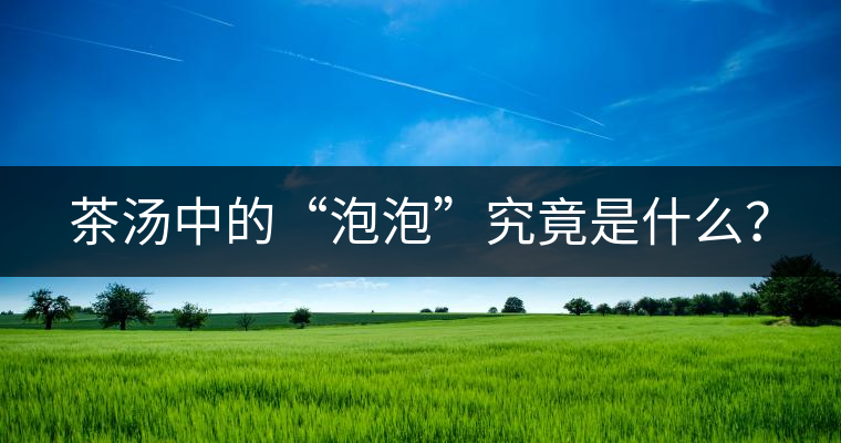 茶湯中的“泡泡”究竟是什么？
