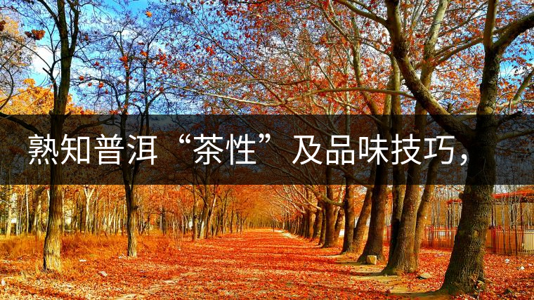 熟知普洱“茶性”及品味技巧，方能品出好茶