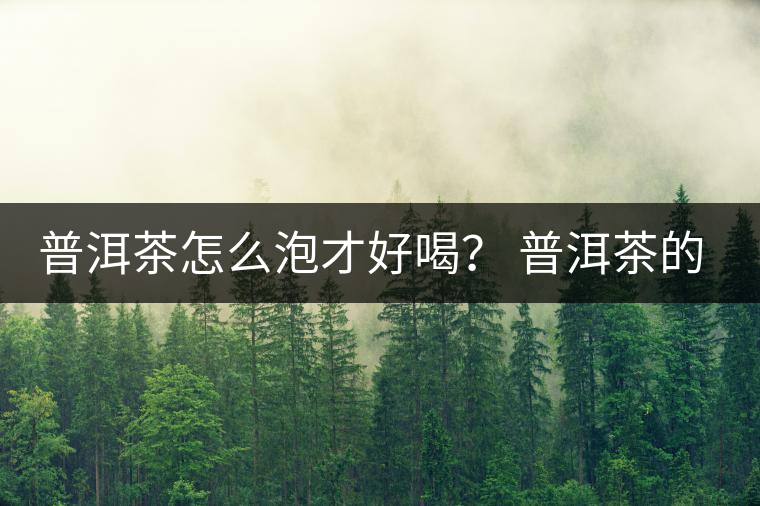 普洱茶怎么泡才好喝？ 普洱茶的沖泡技巧！