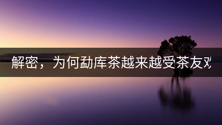 解密，為何勐庫茶越來越受茶友歡迎！