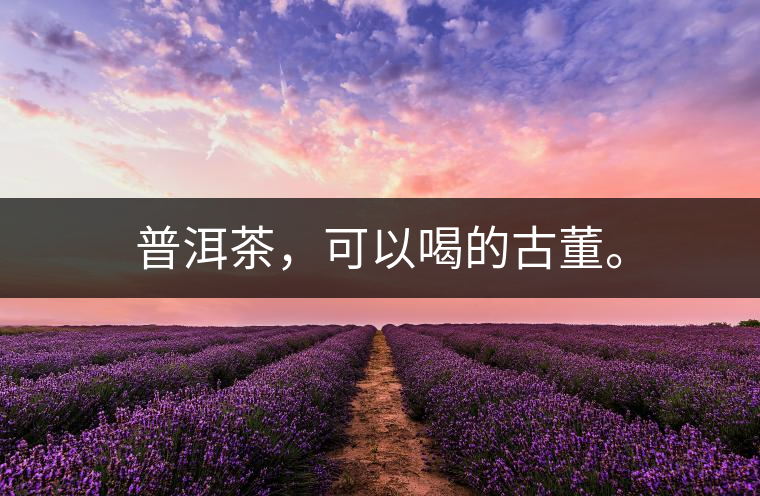 普洱茶，可以喝的古董。