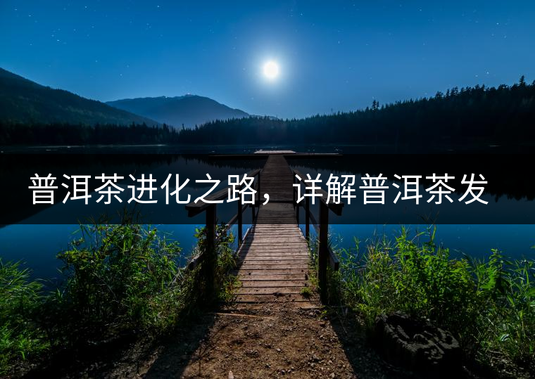 普洱茶進化之路，詳解普洱茶發(fā)展的三大重要階段