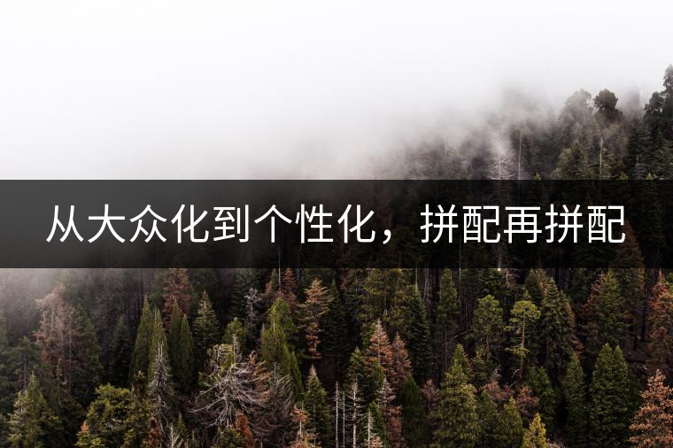 從大眾化到個(gè)性化，拼配再拼配