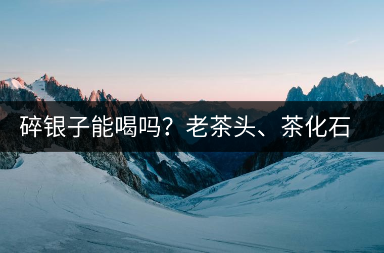 碎銀子能喝嗎？老茶頭、茶化石、碎銀子之間是什么關系？