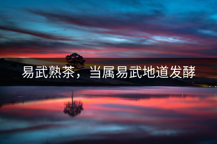 易武熟茶，當(dāng)屬易武地道發(fā)酵