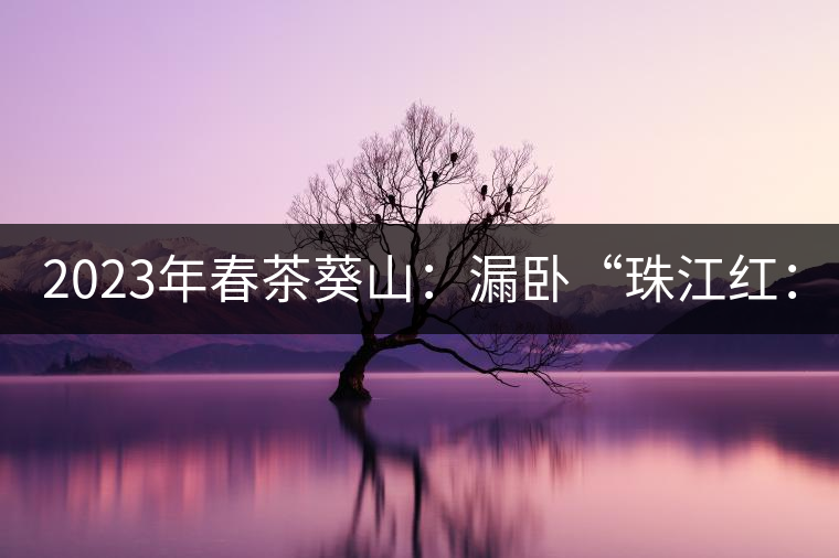 2023年春茶葵山：漏臥“珠江紅：1200元-3200元（有3個(gè)檔次）漏臥“大廠茶”：古樹單株8600-9000元／公斤，中樹4800-5200元／公斤，小樹混采2600-2800元／公斤。