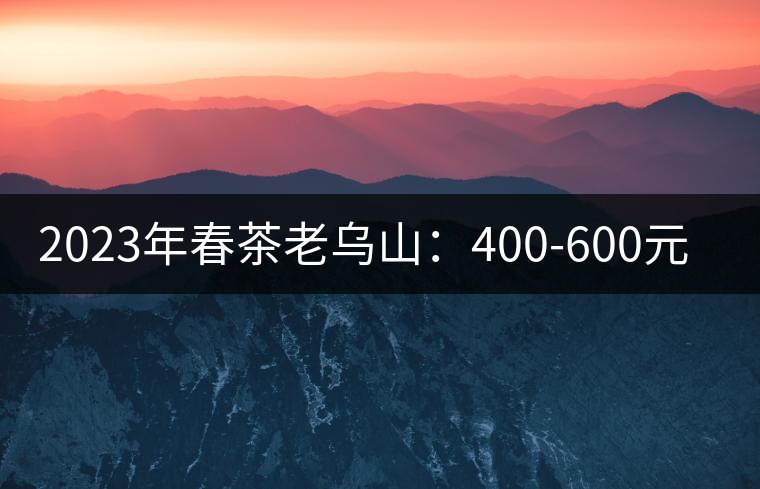 2023年春茶老烏山:400-600元/公斤 2023年春茶老烏山:400-600元/公斤