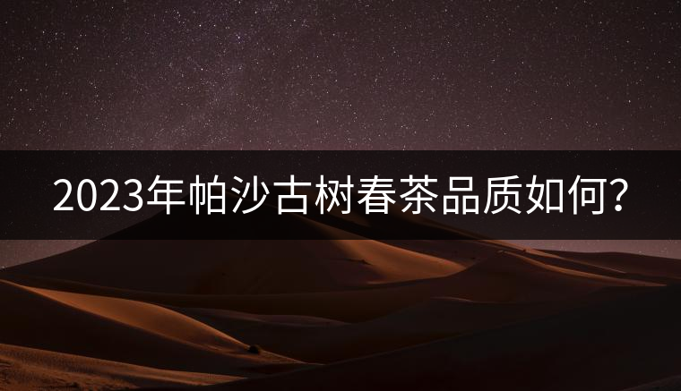 2023年帕沙古樹春茶品質(zhì)如何？