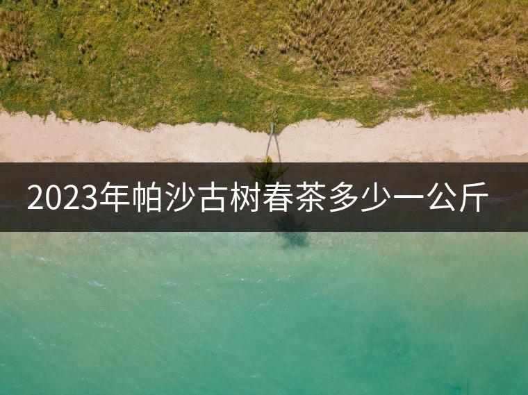 2023年帕沙古樹春茶多少一公斤？