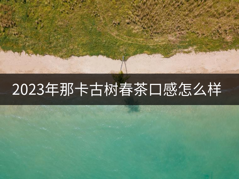 2023年那卡古樹(shù)春茶口感怎么樣？