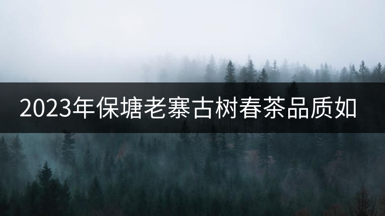 2023年保塘老寨古樹春茶品質(zhì)如何？