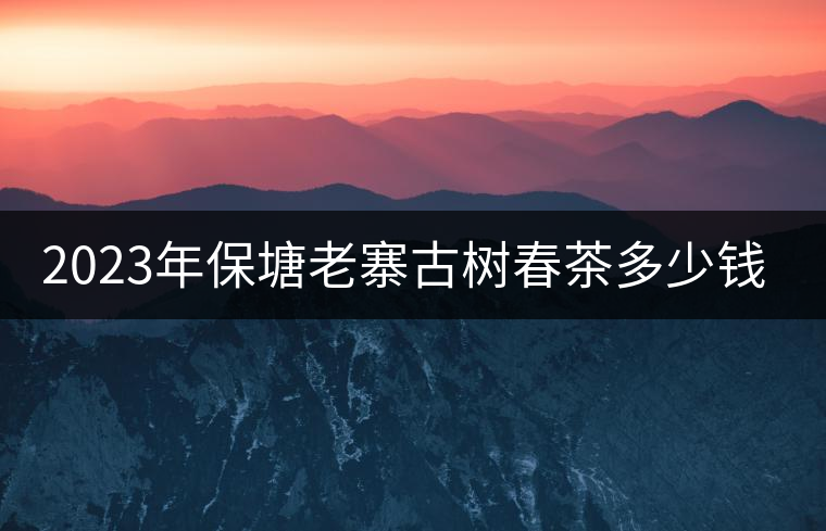 2023年保塘老寨古樹(shù)春茶多少錢(qián)一公斤？