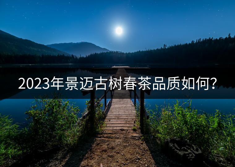 2023年景邁古樹春茶品質(zhì)如何? 2023年景邁古樹春茶品質(zhì)如何?