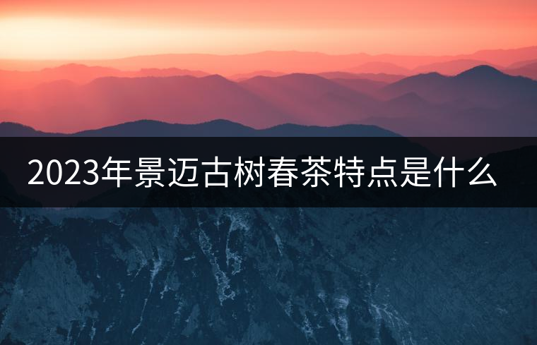 2023年景邁古樹春茶特點是什么？