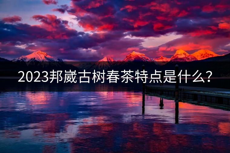 2023邦崴古樹(shù)春茶特點(diǎn)是什么？