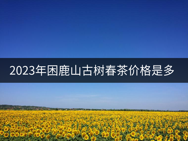 2023年困鹿山古樹(shù)春茶價(jià)格是多少？