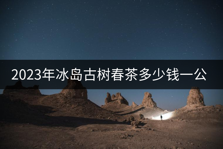2023年冰島古樹(shù)春茶多少錢(qián)一公斤？